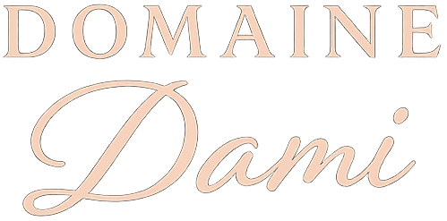 Logo tekst met filter